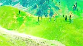 Love you Pakistan