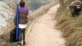 Funny Video clips ???????? #funnyvideo