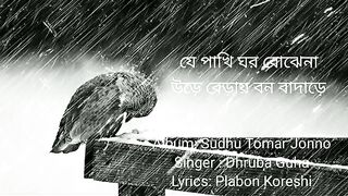 যে পাখি ঘর বোঝেনা উড়ে