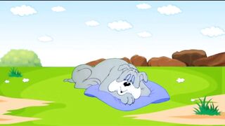 Tom and jerry sow tom distrub dog latest 2022 tim and jerry cartoon