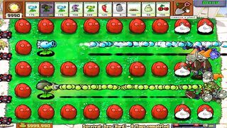 Invincible plant peas