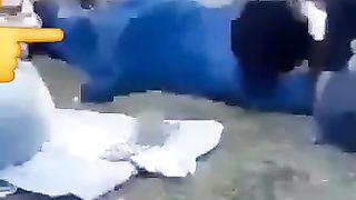افغانستان میں ون ویلنگ کی سزا