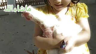 White Aseel Murga