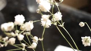 White flowers