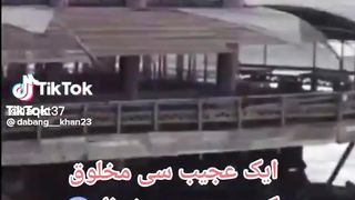 Ak ajib ho gareeb mokhloke the best