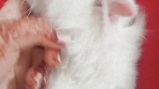 #Cat #Coco naraz ho gai #Rabistyl