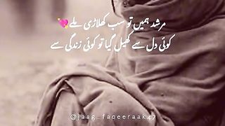 مرشد سب کھلاڑی ہیں یہاں