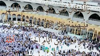 سورة البقرة