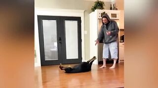 What they didn't tell you about getting a dog ???? funny Dog and Human