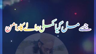 جسے مل گیا کملی والے کا دامن