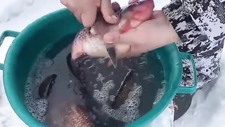 Fish Cooking Yummi Style So Cool Ice