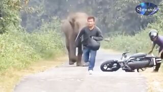Look soon!!!  And know who is the boss in nature.Video 2023
