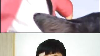 Funny cat video