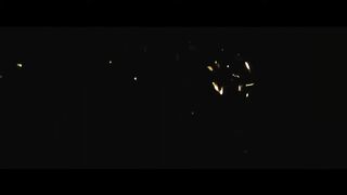 Cinematic Vlog -FLOWER GARDEN