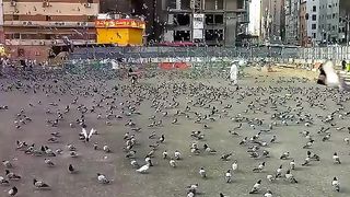 Makkah pak