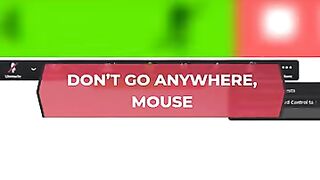 DON'T GO ANYWHERE, MOUSE