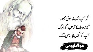 Quotes