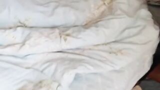 New Funny Videos 2023 ???? Cutest Cats and Dogs ???????? Part 57
