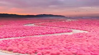 Top 10 world most beautiful place