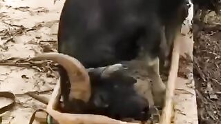 Awesome video ????