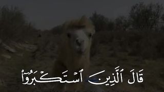Quran