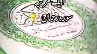Shaby barrat ka vazifa