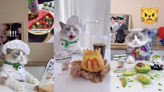 that little puff Tiktok Compilation