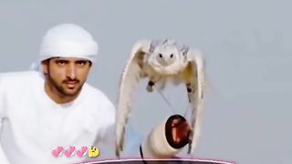 Tariq jameel sahb