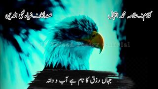 Allama Iqbal urdu poetry | Nazm | Shaheen | best urdu shayari | Allama Iqbal