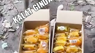 Monkeys Picking Cakes