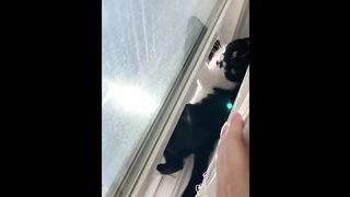 FUNNY CAT MEMES COMPILATION OF 2023