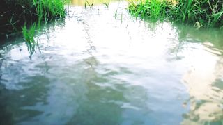 Green Pakistan
