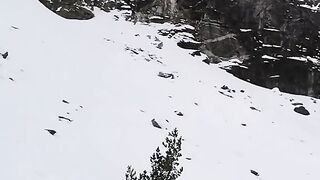 ЗИМНА РИЛСКА СКАКАВИЦА