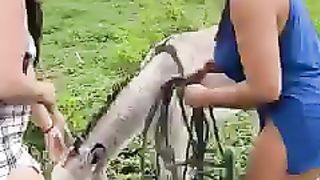 New  video