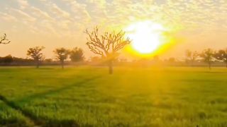 Village life