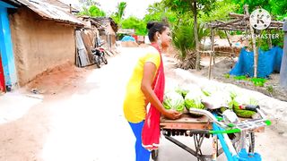 Funny videos| entertainment videos