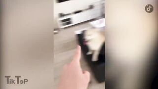 LES MEILLEURS TIKTOK DE MICHOU - NOSTALGIE EDITION | Compilation 1_3 | FOU RIRE ASSURÃ.