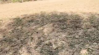 Horse riding