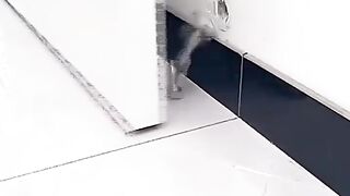 Cabinet Catch Stop Stoppers - Hidden Door Hardware Home - Silicone Door Stopper