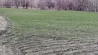 Green pakistan