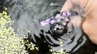 Awesome video ????