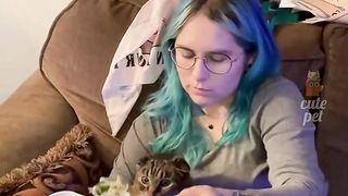 Pets Video