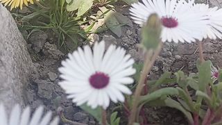 Enjoy nature