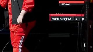 Dance monkey
