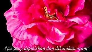 Video Pendek Motivasi