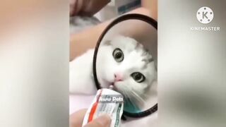 Funniest Fails Of The Year Compilation