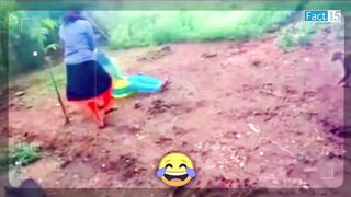 इन जनवर स पग न बब न Funny Animals Video 2022 Part2