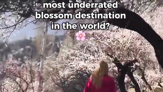 Hunza valley