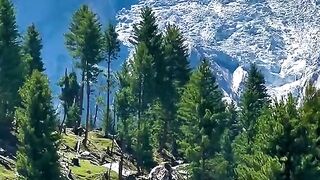 The Nature Beauty