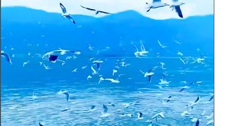 MORNIG | Happy Morning | Nice
